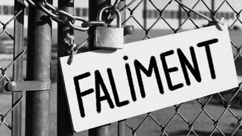 Romania captiva – de Dan Diaconu, economist