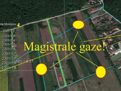 Str. Molidului, Tamasi Corbeanca – Magistrala gaze! – ATENTIE LA TEPE!